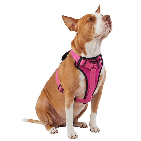 Kong Dog Kong Max Neoprene Padded Dog Harness Poshmark